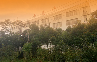 公司简介